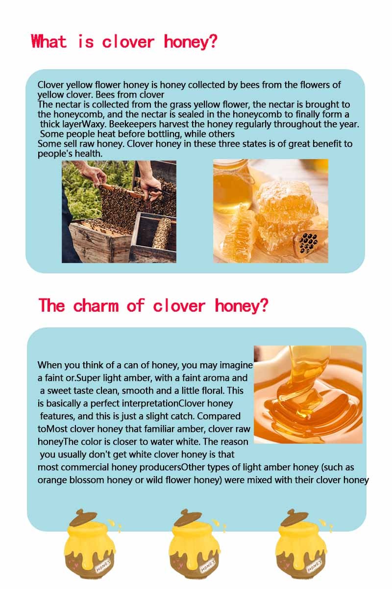 Dakota clover honey